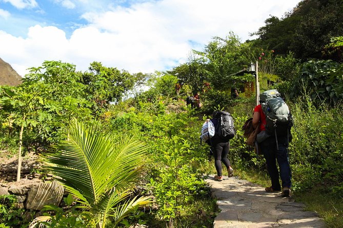 Inca Jungle Premium to Machu Picchu 4-Day and 3-Nights - Fitness, Weather, and What to Pack