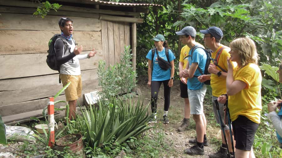 Inca Jungle Trail to Machu Picchu in 4 Days - Day 1: From Cusco to Abra Malaga and Santa Maria