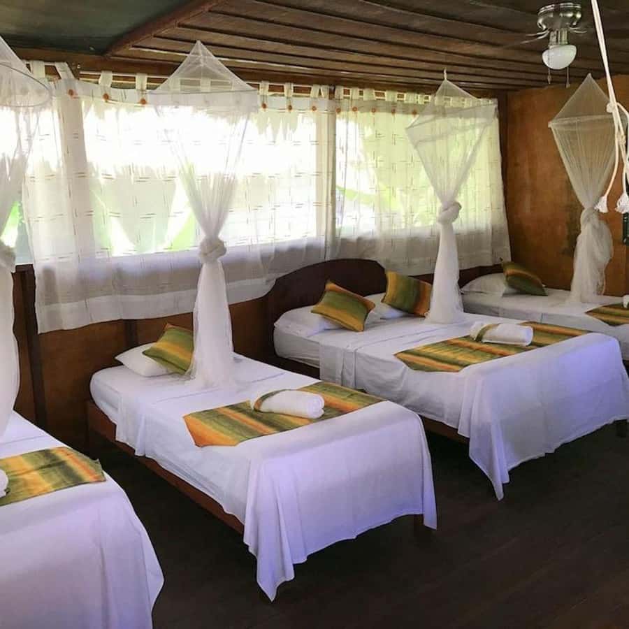 Iquitos: 2 Days and 1 Night Guided Amazon Jungle Tour - Is $315 good value for two days?
