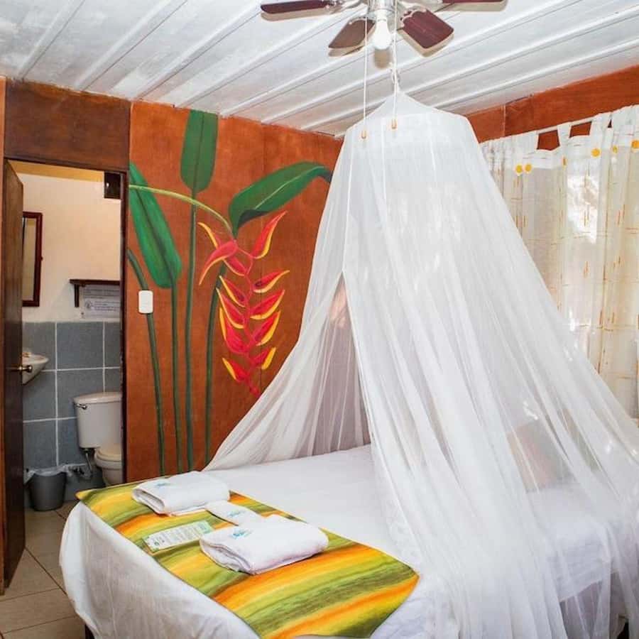 Iquitos: 2 Days and 1 Night Guided Amazon Jungle Tour - The return to Iquitos and the flight rule
