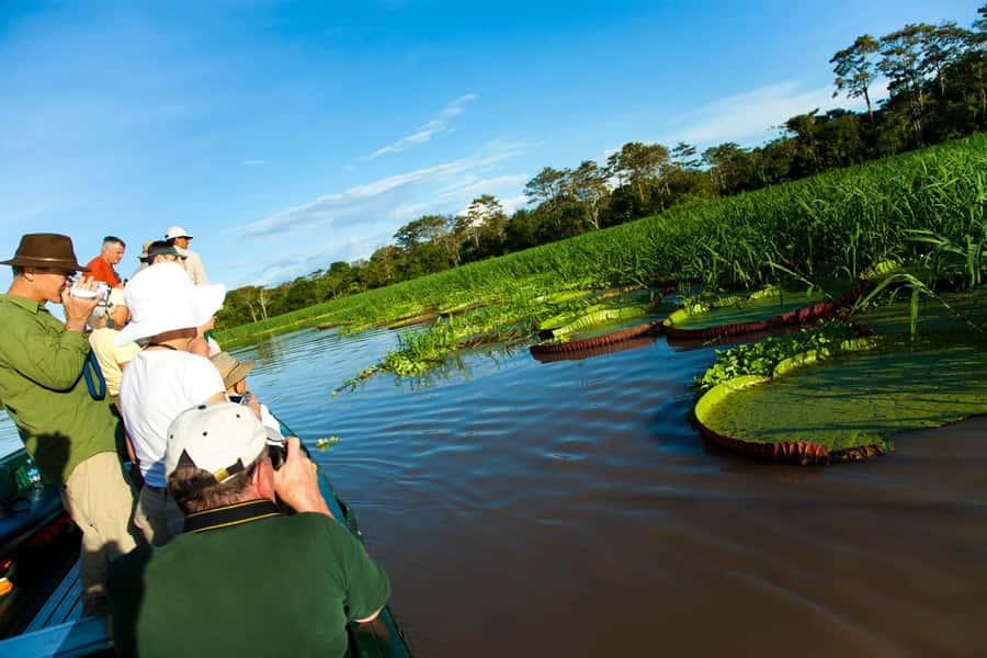 Iquitos: 3 Days and 2 Nights Guided Amazon Jungle Tour - Ziplining from the 26-meter viewpoint