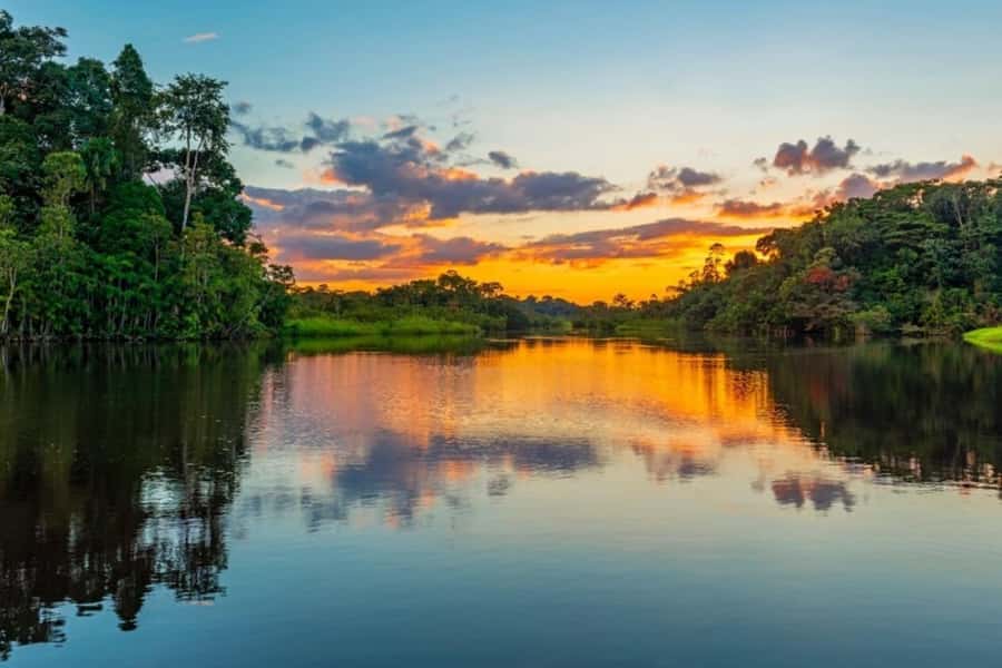 Iquitos: Amazon Jungle in 2 Days: Adventure and Expedition - What the lodge stay is really like