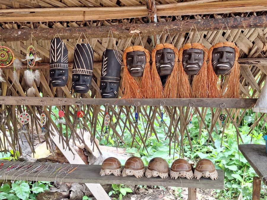 Iquitos: Amazon River Tribes Full-Day Tour with Lunch - The Nanay and Amazon confluence by boat
