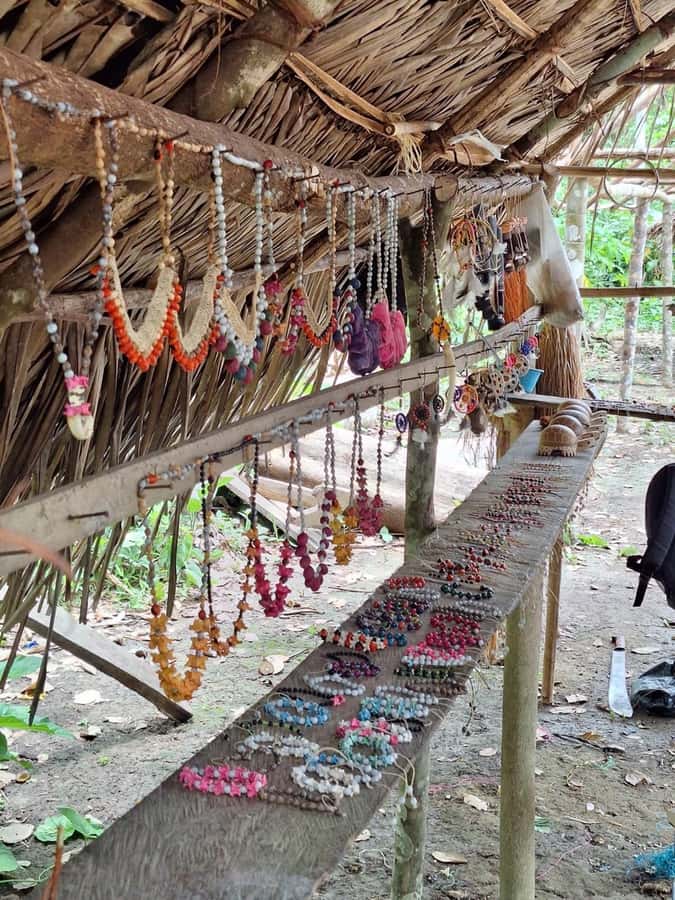 Iquitos: Amazon River Tribes Full-Day Tour with Lunch - Timing, comfort, and practical limits