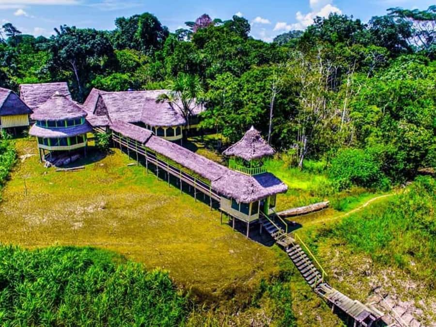 Iquitos : Full Day Excursion to Monkey Island - Fundo Pedrito and the small creatures of the Amazon