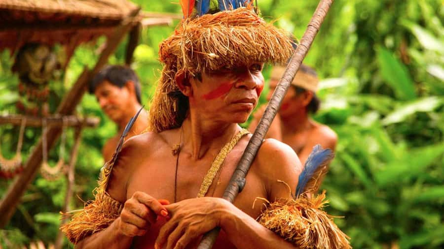 Iquitos: Full Day Tour in the Jungle | Amazon Safari - The rescue center and its limits