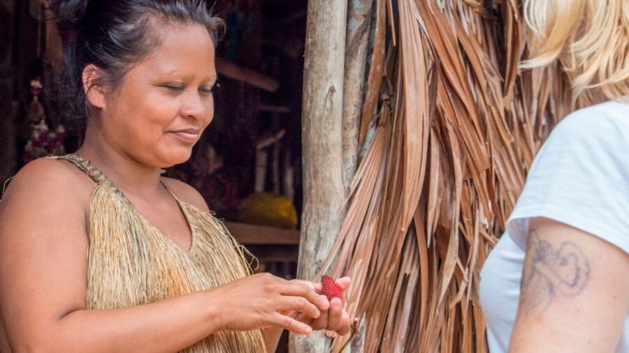 Iquitos: Native Community Experience & Amazon River Tour - Pilpintuwasi Butterfly Garden and animal rescue