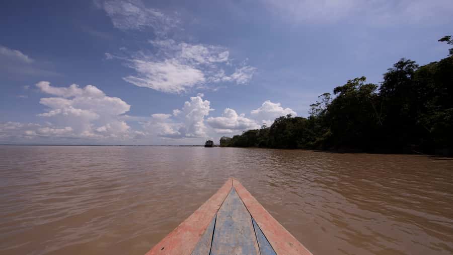Iquitos: Piranha Fishing Experience in the Amazon jungle - Key points before you book
