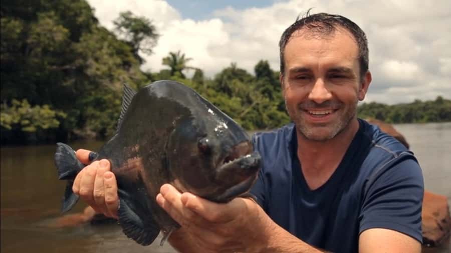 Iquitos: Piranha Fishing Experience in the Amazon jungle - Fishing at the Itaya and Amazon crossing