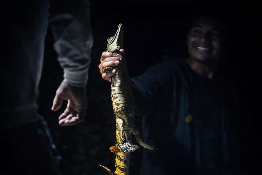 Iquitos to the Amazon: 2-Day Jungle & Wildlife Experience - Who should book this two-day Amazon trip?