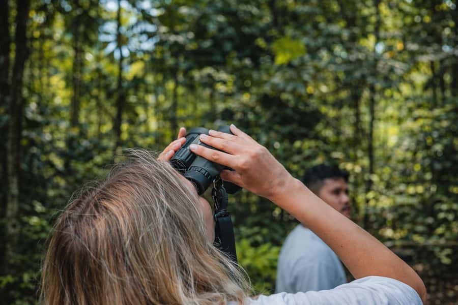 Iquitos to the Amazon: 2-Day Jungle & Wildlife Experience - Sunset, dinner, and the rainforest after dark