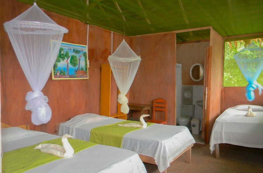 Iquitos to the Amazon: 2-Day Jungle & Wildlife Experience - Returning to Iquitos after lunch