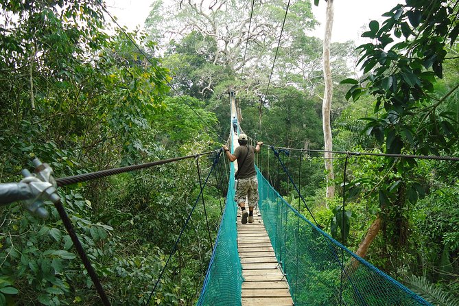 Jungle Eco Jungle And Adventure - 4 Days / 3 Nights - Four days in the Tambopata rainforest
