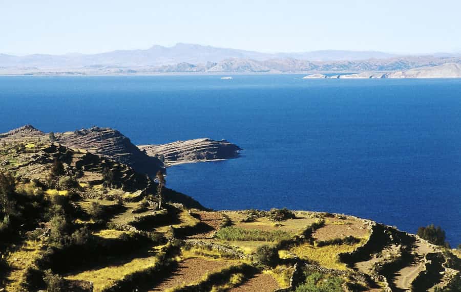 Lake Titicaca, Uros and Taquile Full-Day Tour - Key points to know before booking