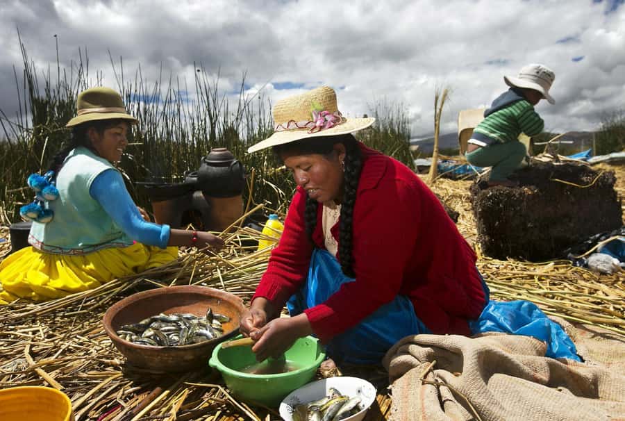 Lake Titicaca, Uros and Taquile Full-Day Tour - Why this Lake Titicaca day trip works