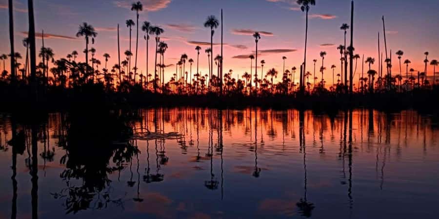 Lake Yacumama - Sunrise or Sunset - Group size, language, and practical planning