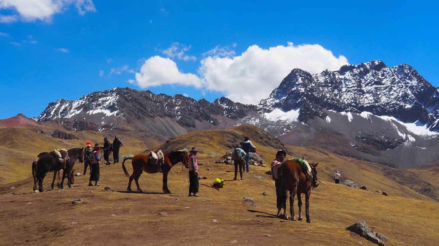 Lima: 7-Day Inca Tour with Flights and Machu Picchu - Flying to Cusco requires a quiet afternoon