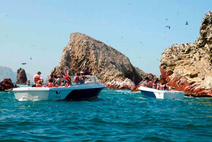 Lima: 7-Day Inca Tour with Flights and Machu Picchu - Guides and group size affect the experience