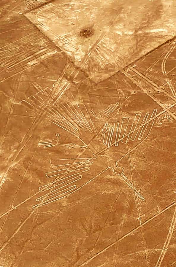 Lima and Nasca : Ballestas -Huacachina-Nasca Lines - Tacama, Pisco, and lunch under the vines
