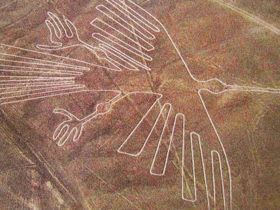 Lima: Ballestas Islands, Huacachina Oasis & Nazca Lines Tour - Key points to know before booking