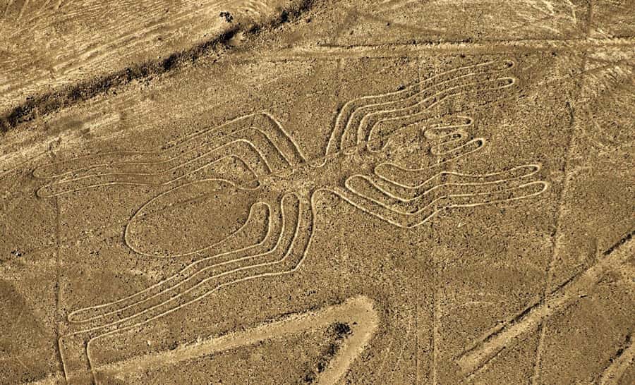 Lima: Ballestas Islands, Huacachina Oasis & Nazca Lines Tour - Transport, guides, and the small-group setup
