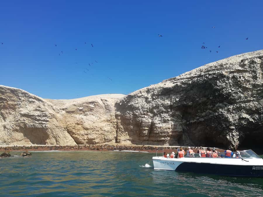 Lima: Ballestas Islands, Winery and Nazca Lines Private Tour - A 4:30 AM start from Lima