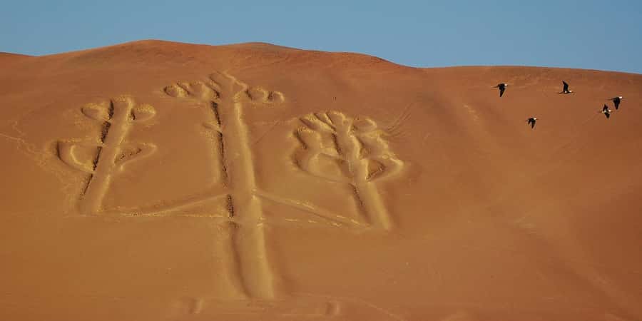 Lima: Ballestas Islands, Winery and Nazca Lines Private Tour - Seeing the Nazca Lines from Pisco Airport