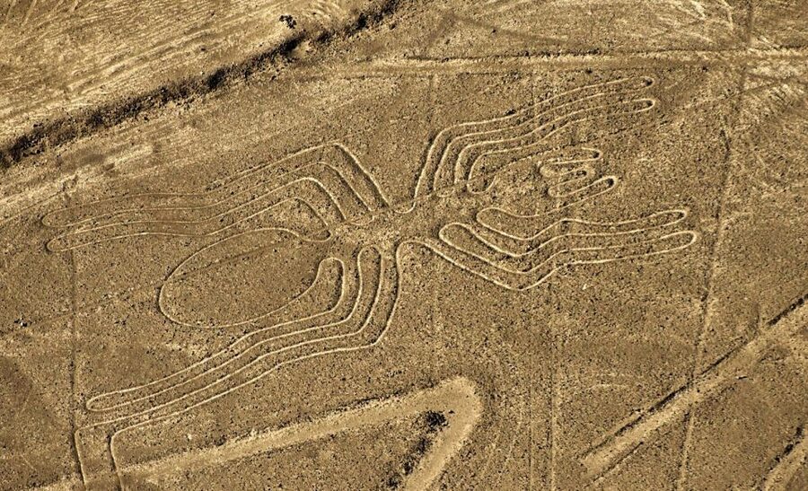 Lima: Ballestas Islands, Winery and Nazca Lines Private Tour - Should you book it?