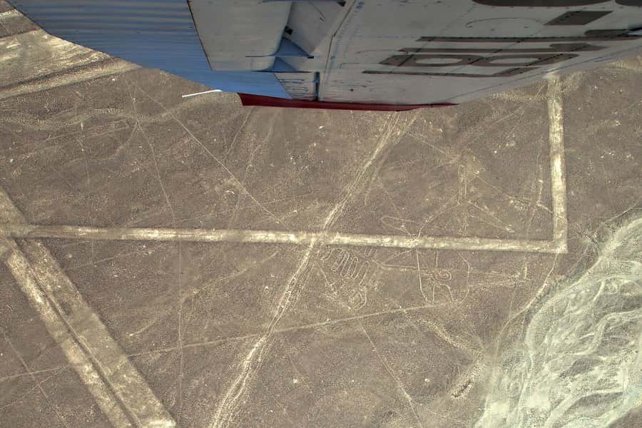 Lima: Ballestas Islands, Winery and Nazca Lines Private Tour - Paracas National Reserve and the coast