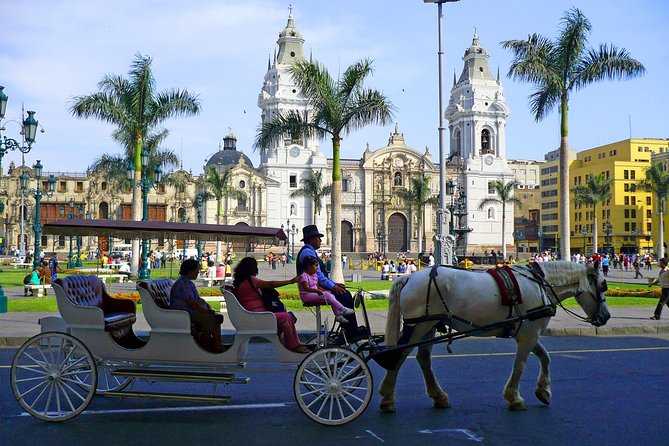Lima City Tour. Pre-Hispanic, Colonial and Modern Tour. - Lima’s historic center and its grand public buildings