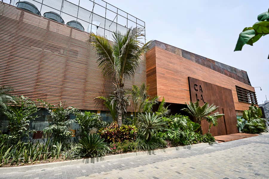 Lima: Demo Cooking Class with Lunch at Cala Restaurant - Who will enjoy this experience most