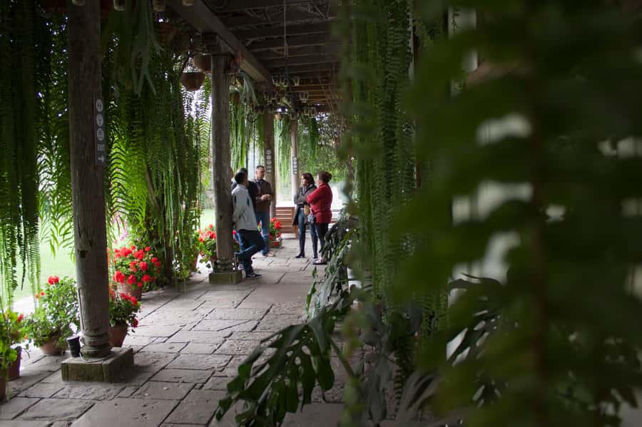 Lima: Half-Day Colonial Lima and Larco Museum Tour - Who will get the most from this tour