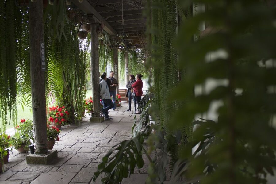 Lima: Half-Day Colonial Lima and Larco Museum Tour - Should you book the Colonial Lima and Larco Museum tour?