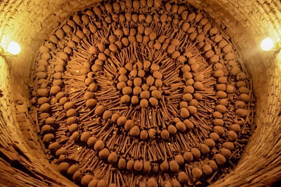Lima: Historic Downtown, Miraflores & Catacombs Private Tour - A fast introduction to Lima’s many faces