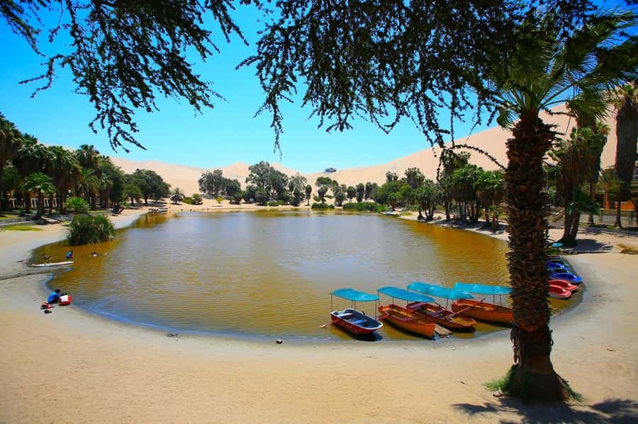 Lima: Huacachina, Winery, & Nazca Lines from Pisco Airport - Should You Book It?