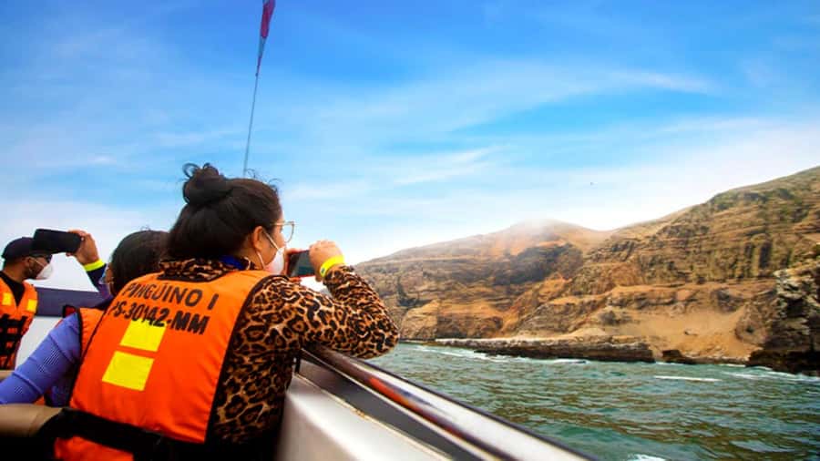 Lima | Islas Palomino Tour | Swim with Sea Lions - Key points to know before you book