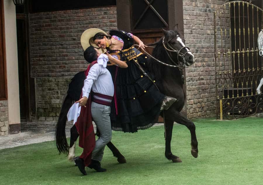 Lima: Magic Water Circuit and Dinner Show Tickets - Should you book the Magic Water Circuit and Dinner Show?
