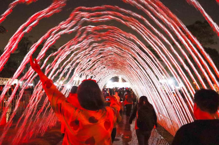 Lima: Magic Water Circuit Tour w/ Transfer & Ticket - The optional dinner show and Peruvian flavors