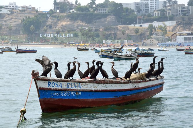 Lima Off the Beaten Path: Local Communities and Cultural Immersion - San Juan de Miraflores and lunch in a local home
