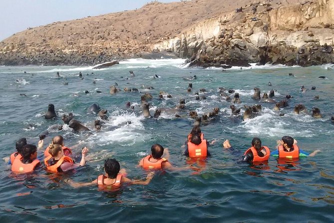Lima: Palomino Islands Excursion & Swimming with Sea Lions with Hotel Transfers - Snacks, comfort, and the small-boat reality
