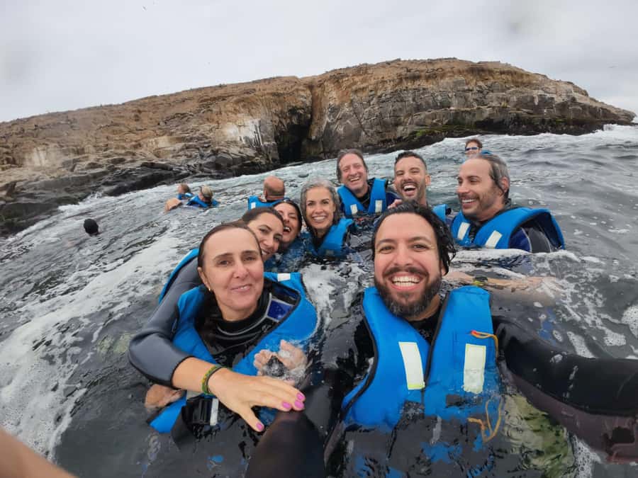 Lima: Palomino Islands Speedboat Tour & Swim with Sea Lions - Should you book the Palomino Islands tour?
