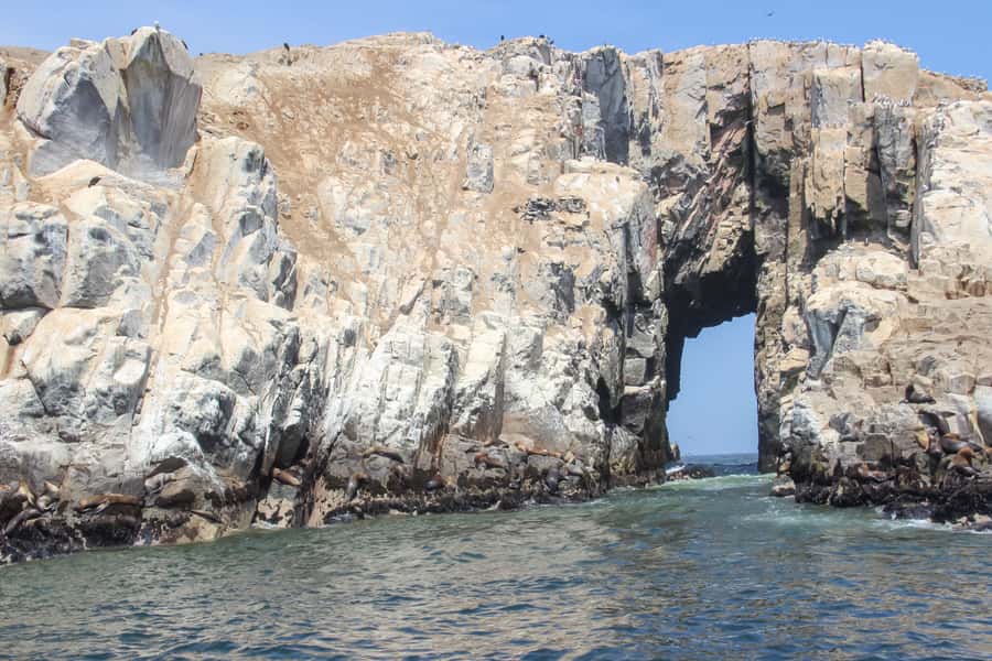 Lima: Palomino Islands Speedboat Tour & Swim with Sea Lions - Meeting the sea lions near the Palomino Islands