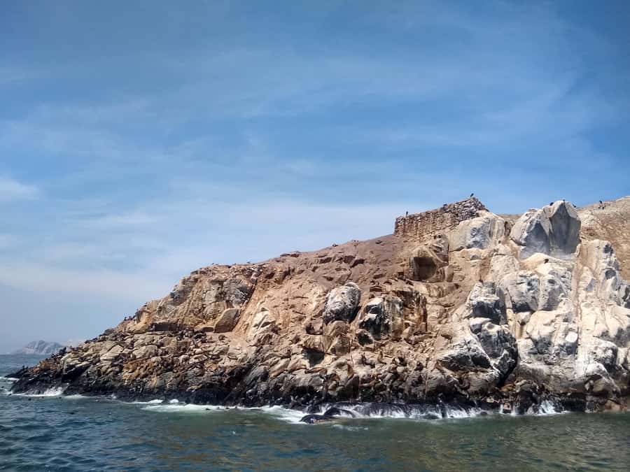 Lima: Palomino Islands Speedboat Tour & Swim with Sea Lions - Watching Humboldt penguins and Pacific seabirds