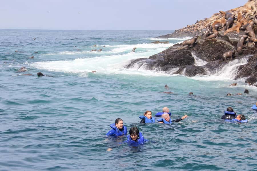 Lima: Palomino Islands Speedboat Tour & Swim with Sea Lions - What the 2.5 hours on the boat feel like