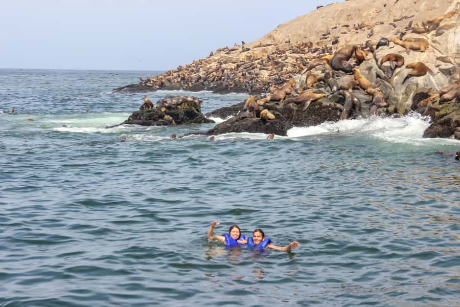 Lima: Palomino Islands Speedboat Tour & Swim with Sea Lions - Is $125 a fair price?