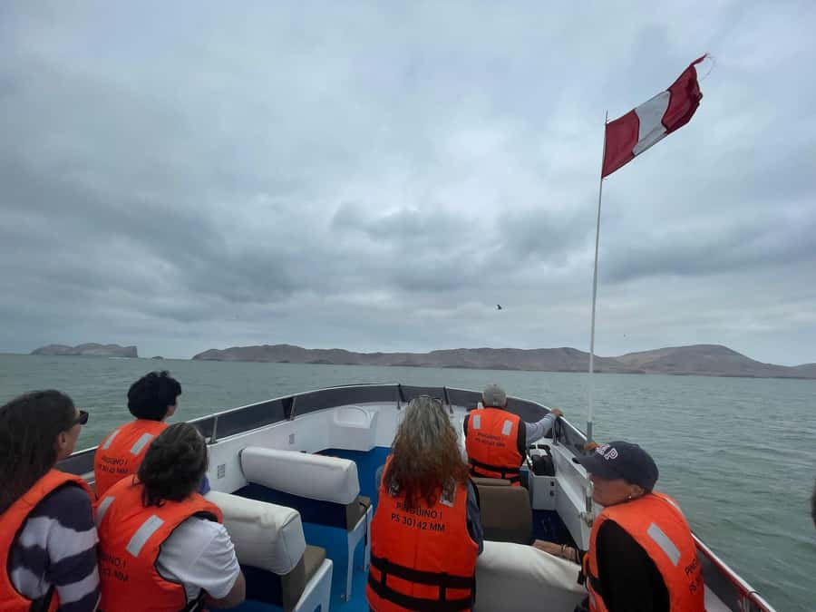 Lima: Palomino Islands Speedboat Tour & Swim with Sea Lions - Who should book this sea lion outing?