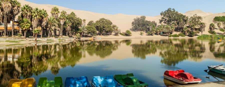 Lima: Paracas and the Huacachina Oasis Guided Day Tour - Who should book this experience