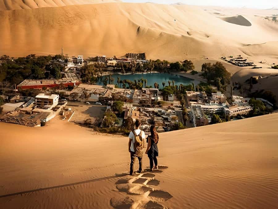 Lima: Paracas & Huacachina Oasis Day Trip with Wine & Dunes - Why this Lima day trip works