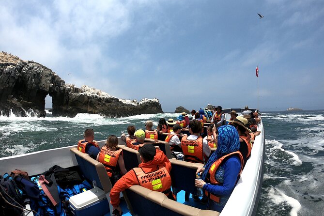 Lima Peru Sea Lions, History and Palomino Callao Islands - The sea lion encounter