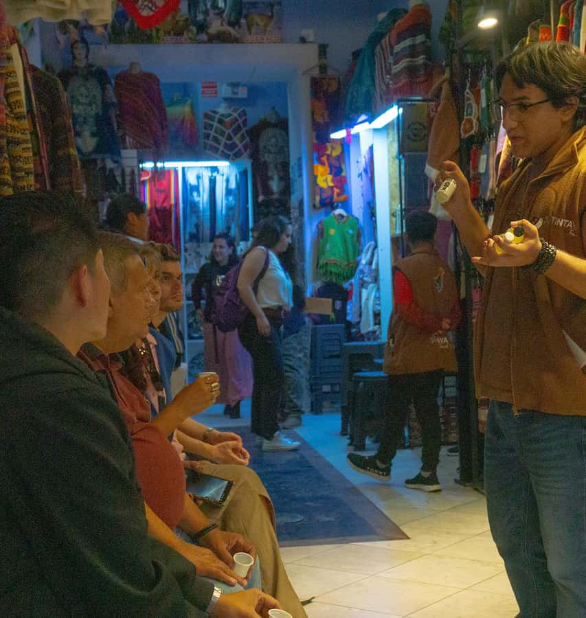 Lima: Street Food Tasting Tour with Pisco Sour Class - Who should book this six-hour route?